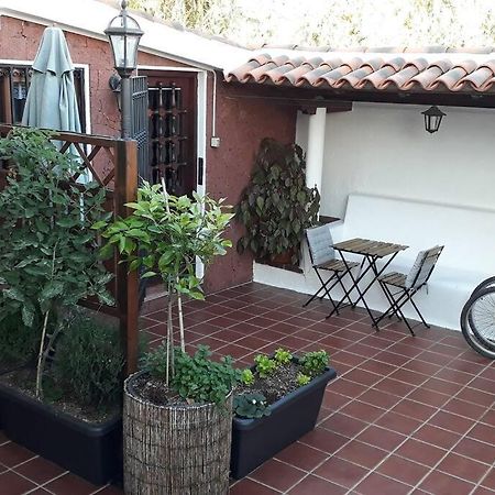 Apartamento Tranquilo En Una Casa Con Jardin La Laguna  Eksteriør bilde
