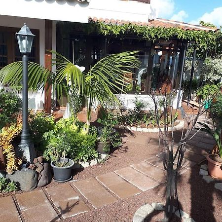 Apartamento Tranquilo En Una Casa Con Jardin La Laguna  Eksteriør bilde