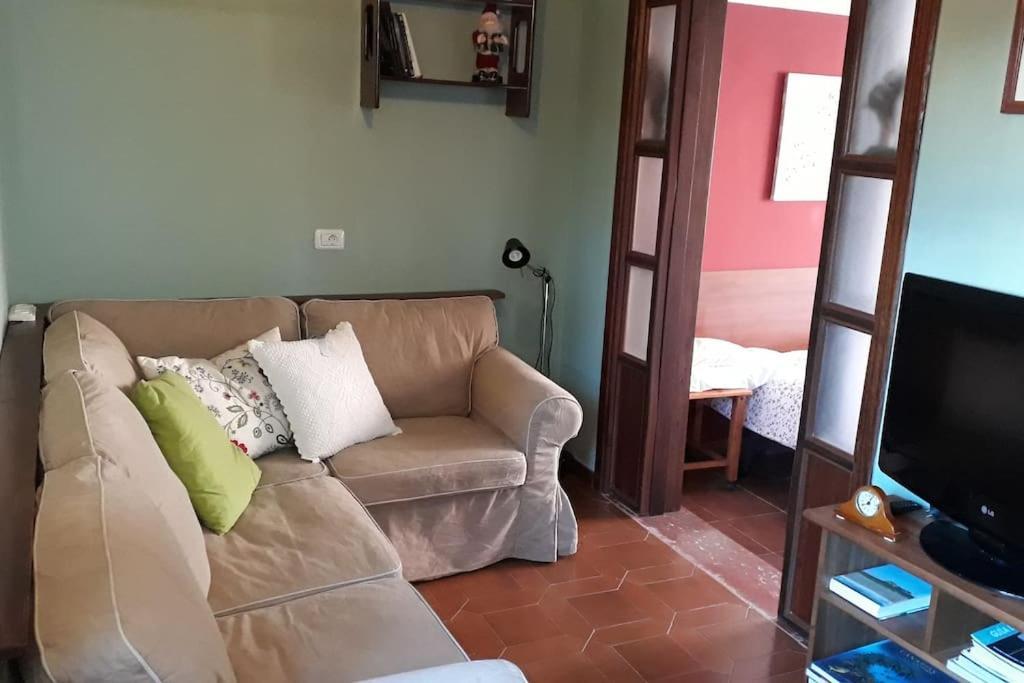 Apartamento Tranquilo En Una Casa Con Jardin La Laguna  Eksteriør bilde