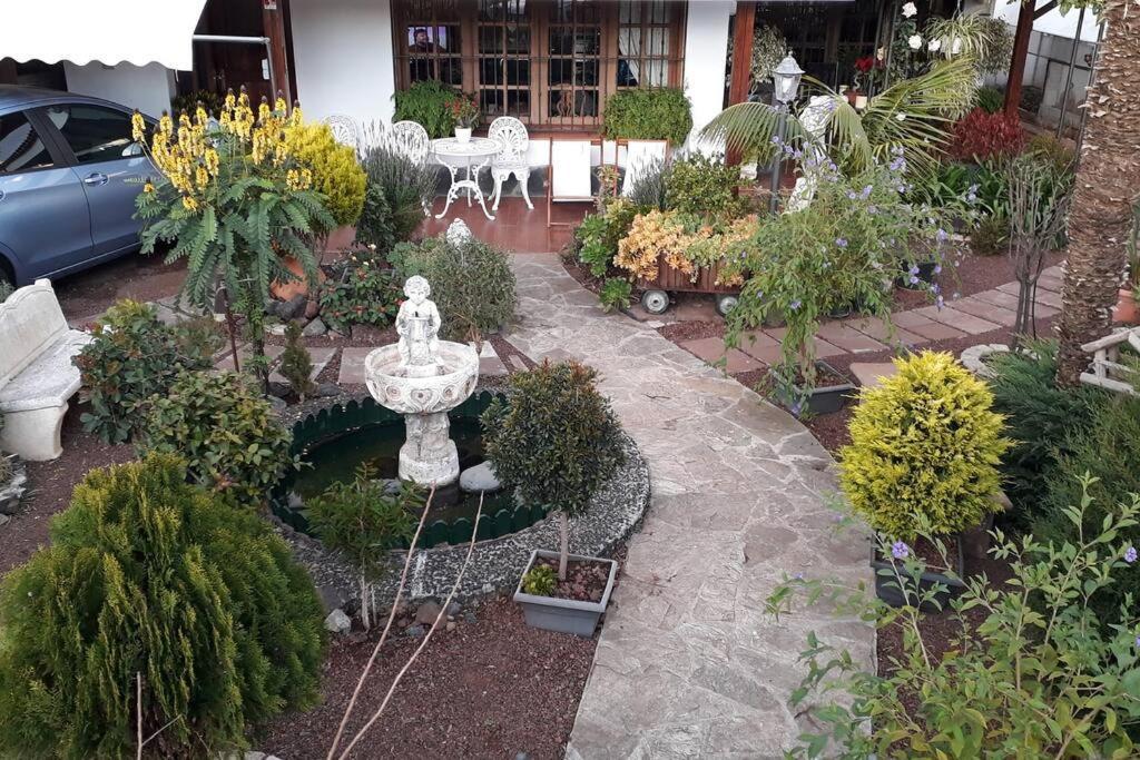 Apartamento Tranquilo En Una Casa Con Jardin La Laguna  Eksteriør bilde