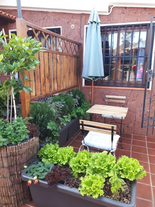 Apartamento Tranquilo En Una Casa Con Jardin La Laguna  Eksteriør bilde
