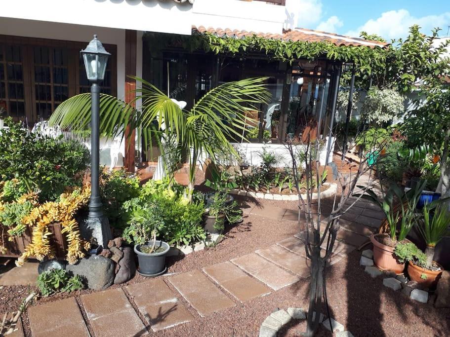 Apartamento Tranquilo En Una Casa Con Jardin La Laguna  Eksteriør bilde